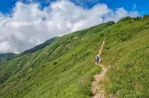 北京朝阳医院电话多少_朝阳医院电话北京总院_北京朝阳医院门诊电话