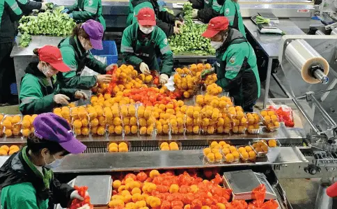 电脑新机装系统_新机装电脑系统怎么设置_新机子装系统