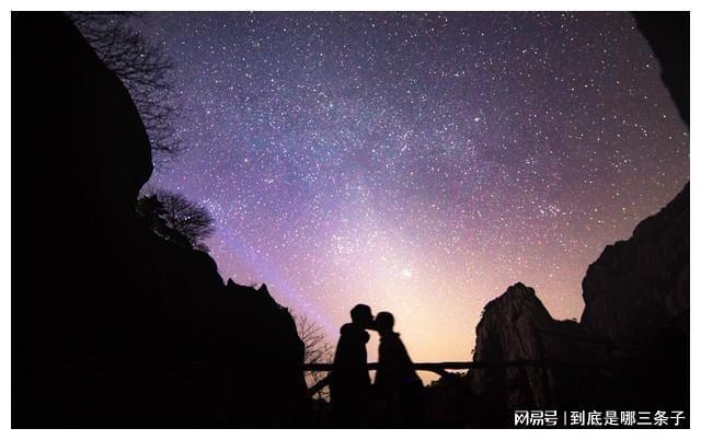 shopnum1多用户商城系统_商户平台产品中心_商城用户的作用