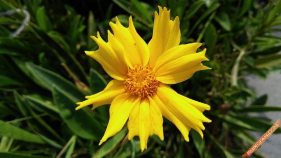 爱否测评软件下载_爱否 zuk z2 pro评测_爱否科技评测