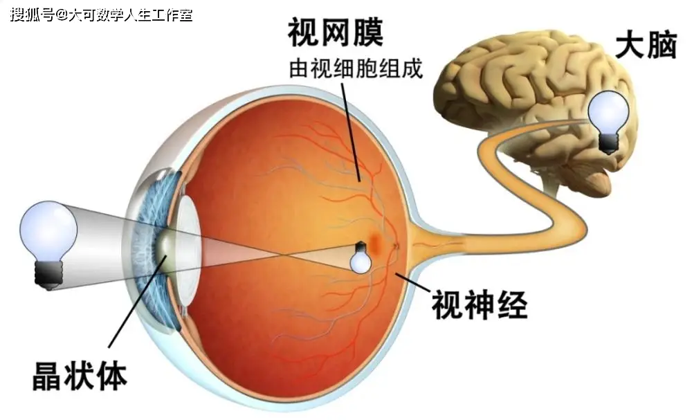 操作系统属于软件系统_系统操作属于软件操作吗_操作系统属于系统软件