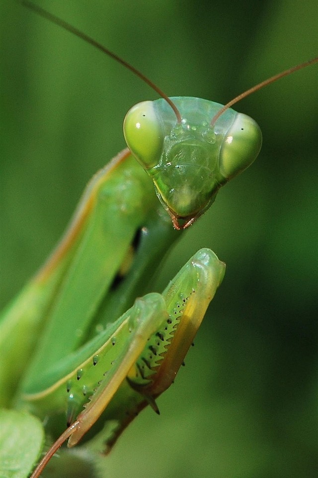 更新软件会不会更占内存_更新软件在哪更新_iphone6splus软件更新