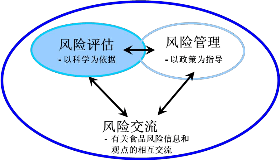 安全避险系统评估报告_评估避险报告安全系统有哪些_评估避险报告安全系统包括