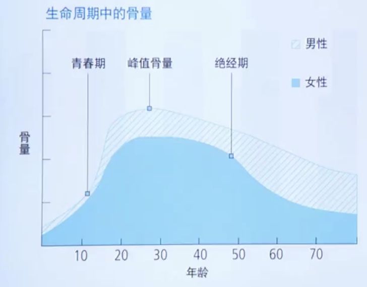 出生医学证明尺寸大小_2021年出生医学证明尺寸_出生医学证明尺寸