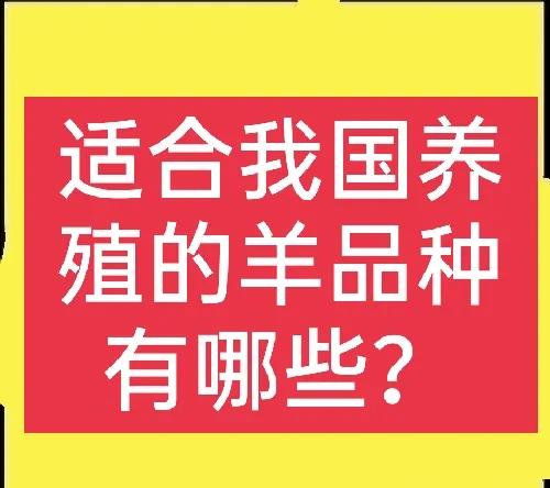 养羊国家补贴多少钱_养羊最多的国家_养羊国家补贴政策规定