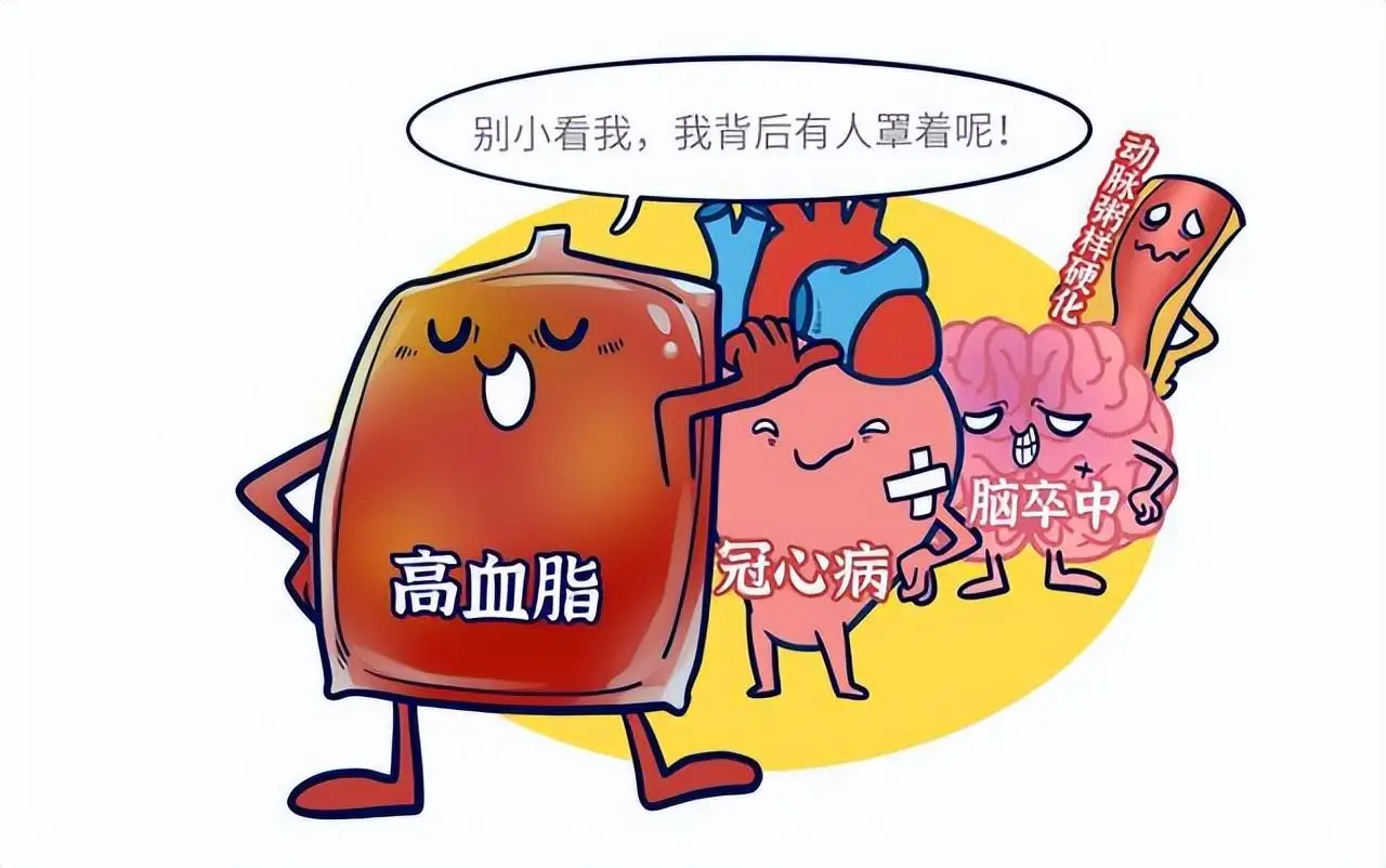 血脂高的护理诊断及护理措施_护理血脂计划高的原因_高血脂的护理计划