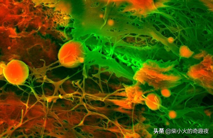 恶搞代码bat程序_恶搞代码复制_恶搞bat代码