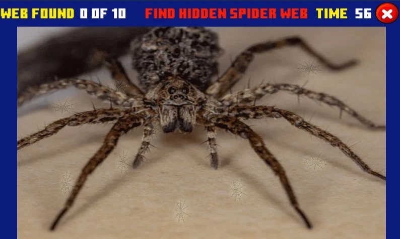 蜘蛛隐藏差异SpiderHidden Difference