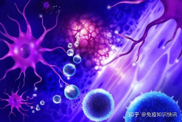 病毒计算机侵入可能的原因_计算机病毒是指能够侵入计算机_计算机病毒不可能侵入