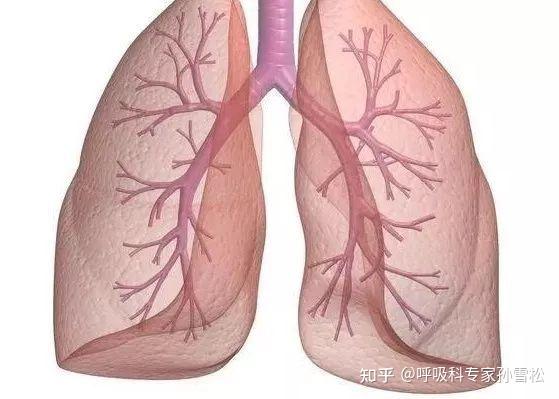 什么是呼吸衰竭分型_呼吸定义分类衰竭是什么_呼吸衰竭定义及分类