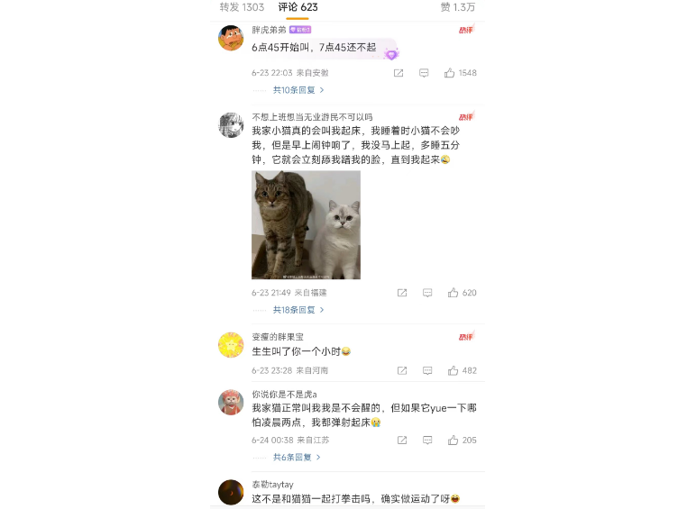 第一次见把小猫当闹钟用的？新技能开启