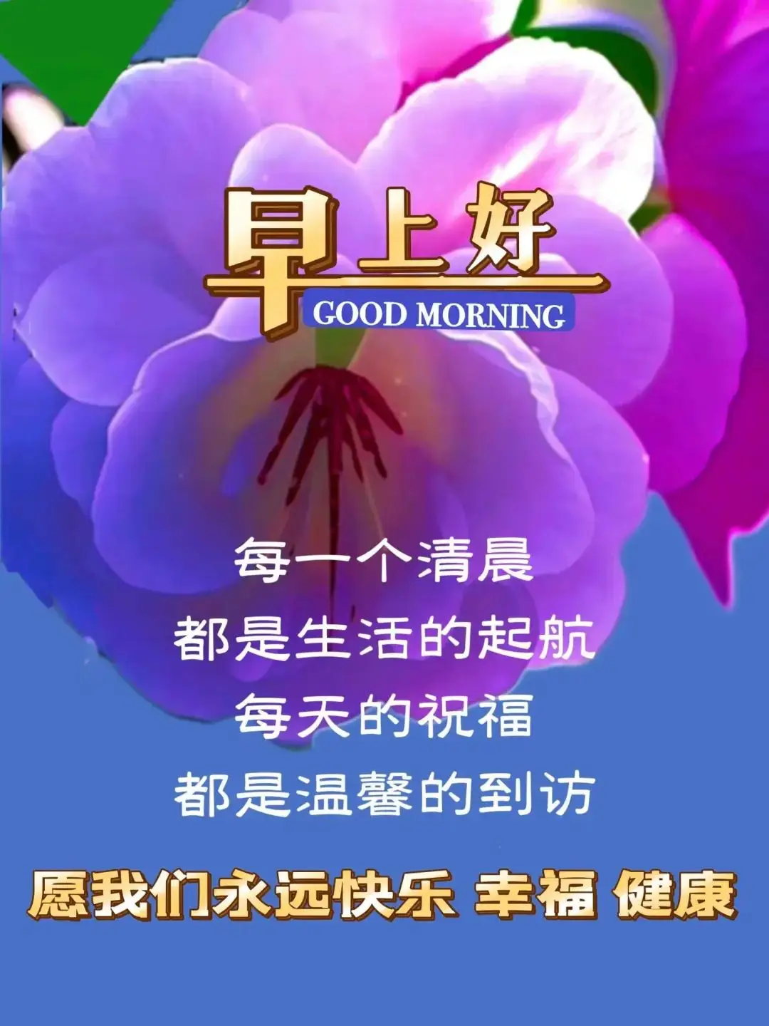 花钱就赚钱_2024年不花钱的赚钱项目_赚钱项目2020