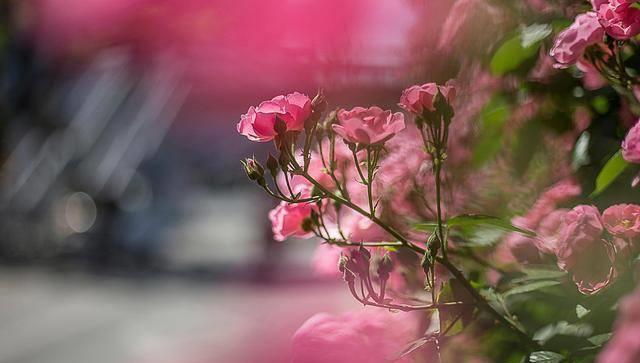 怎么定位安卓手机位置_安卓手机定位安卓手机位置_安卓定位位置手机怎么设置