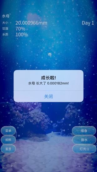 养育水母的治愈游戏(Jellyfish)