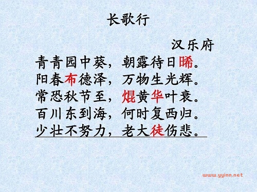 汉乐府《长歌行》古诗原文（长歌行翻译及注释）