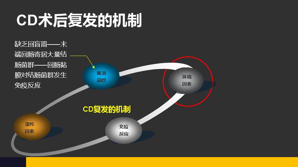 药物病治疗罗恩克菌的原理_克罗恩病的药物治疗_罗克恩病能治好吗