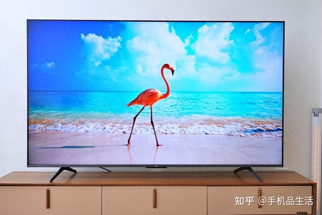电视买led还是qled_led电视机什么牌子好_电视led好吗