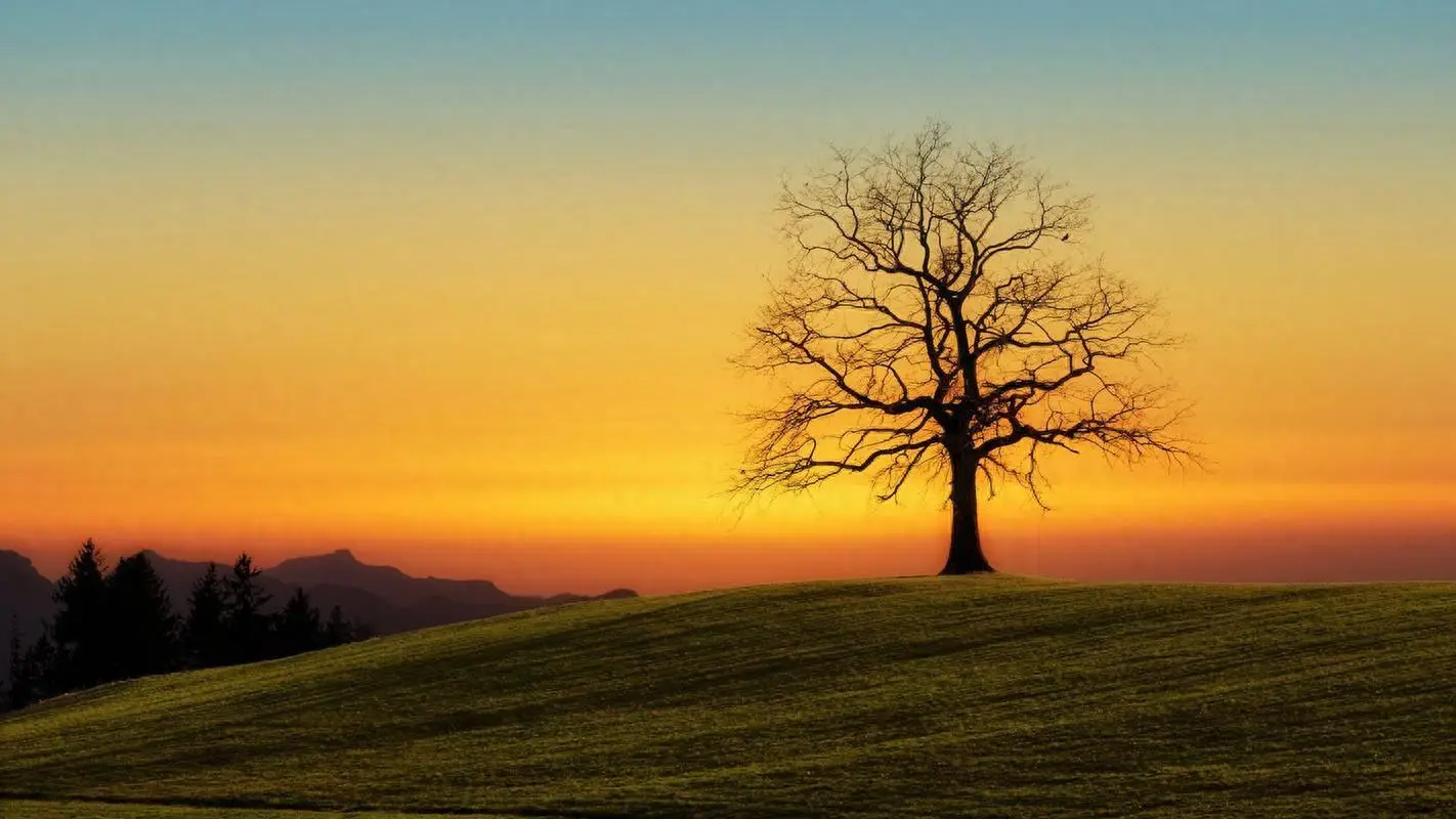 证明身份的有效证件有哪些_有效身份证件有效日期_身份证明有效期