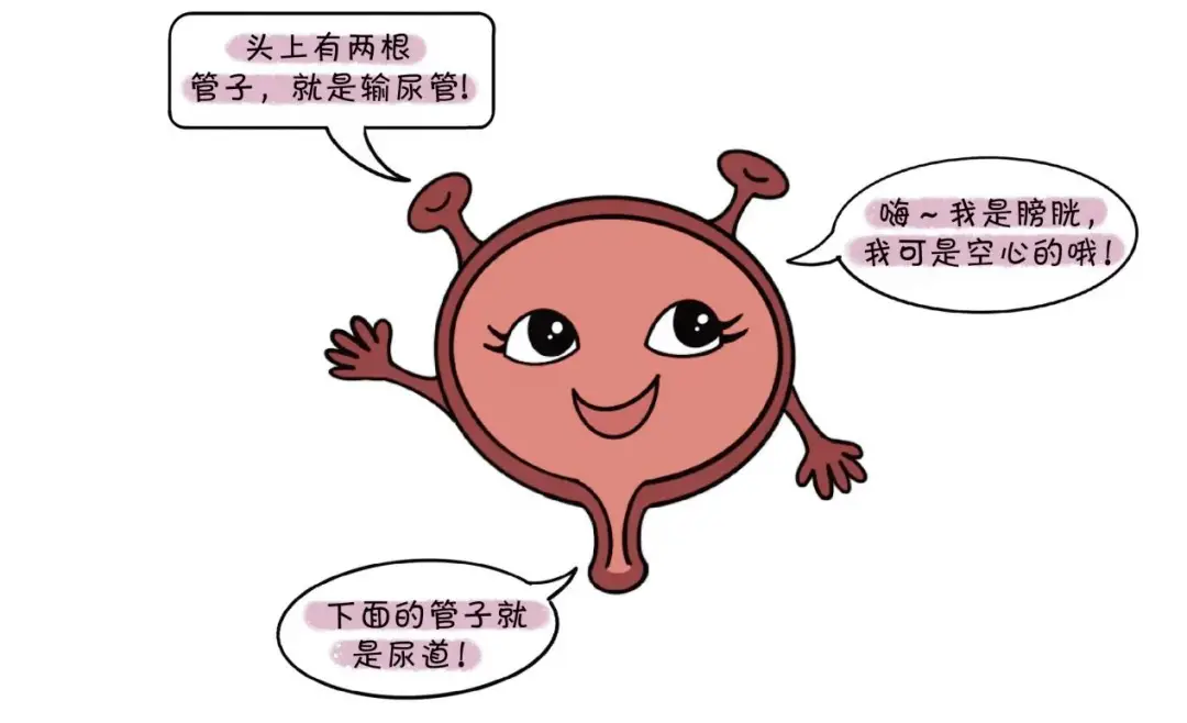 电击肛门睾丸失禁_肛门电击睾丸失禁怎么办_肛门电击睾丸失禁怎么回事