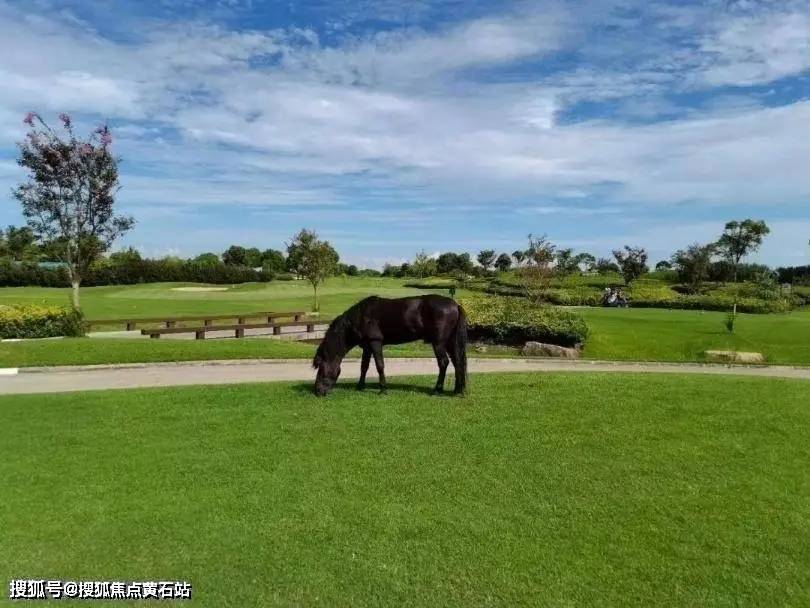 霍建华得病_霍建华哮喘_霍建华有哮喘吗