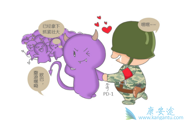 中文版和国语版的区别_中文版和专业版的区别_中文版和专业版