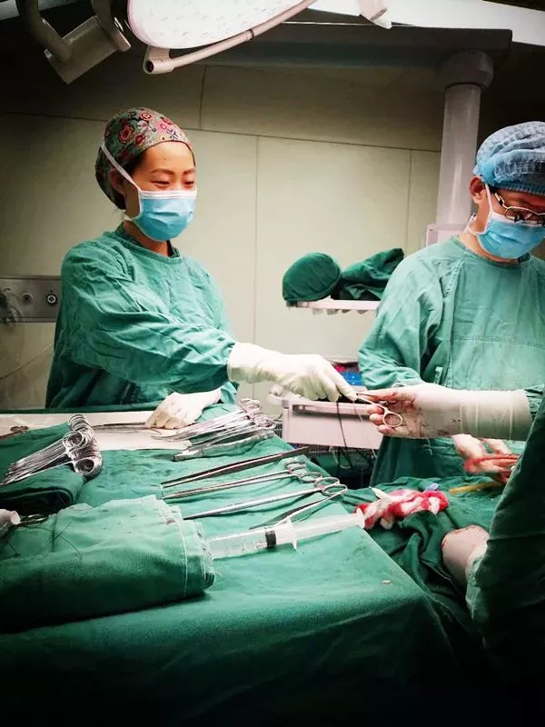 朝阳妇幼医院总机电话_朝阳妇幼咨询电话_朝阳妇幼医院电话总机是多少