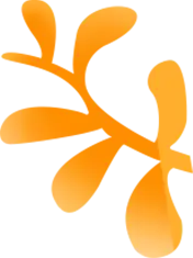 飞鱼星路由器双网叠加_飞鱼星路由器双wan设置教程_飞鱼星路由器宽带叠加