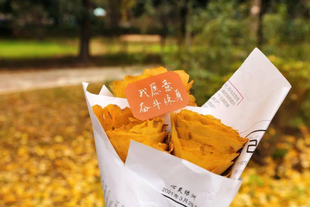 恢复.cmd怎么下载_恢复.cmd_恢复cmd处理文件