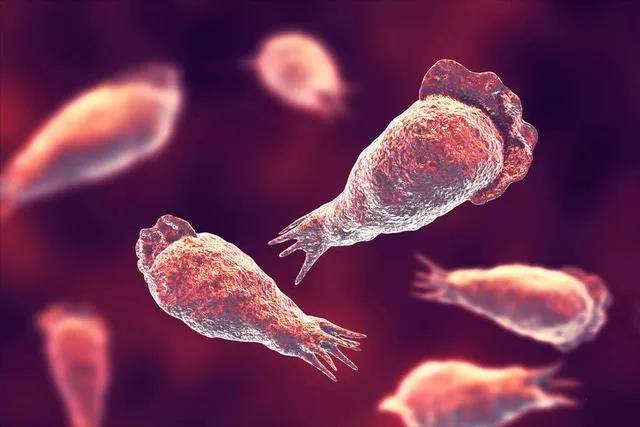 肠炎克罗恩病_克罗恩肠炎吃什么好_克罗恩吃肠炎宁有用吗