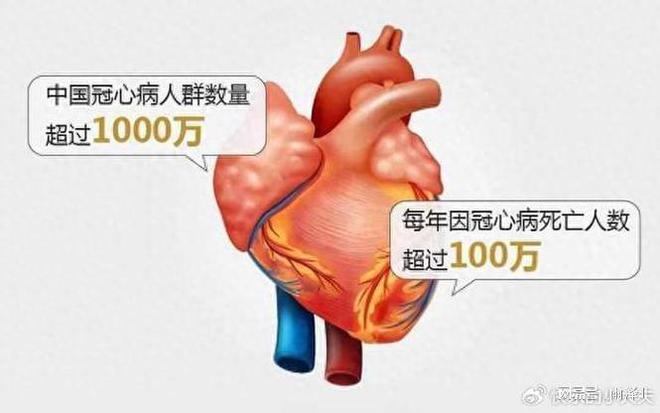 护理冠心病患者的心得体会_冠心病及护理ppt_护理冠心病案例疑难病例讨论