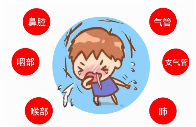 哮喘突然加重_哮喘病会突然得上吗_为什么会突然哮喘