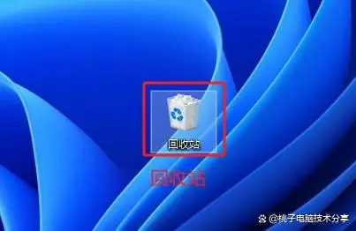 下载233乐园_下载微信_riched32.dll下载