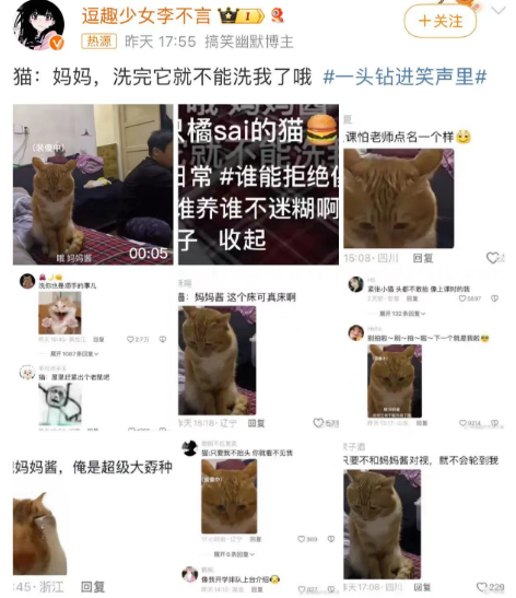 猫：妈妈洗完它就不能洗我了