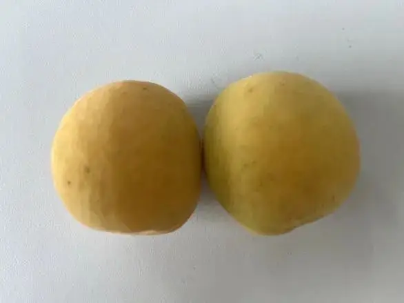 怎么用苹果电脑系统改铃声_铃声苹果改电脑系统用哪个软件_铃声苹果改电脑系统用什么软件