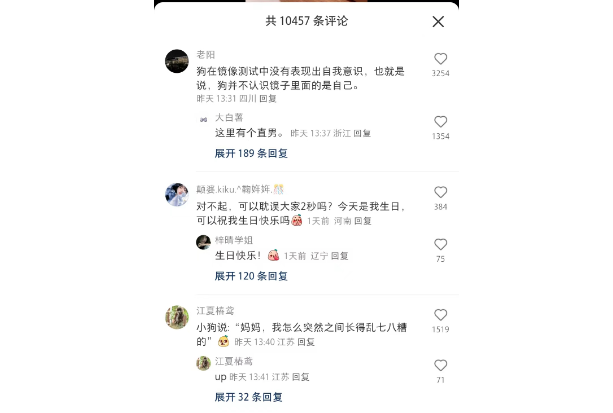 小狗对镜子中的自己产生好奇，引发网友热议