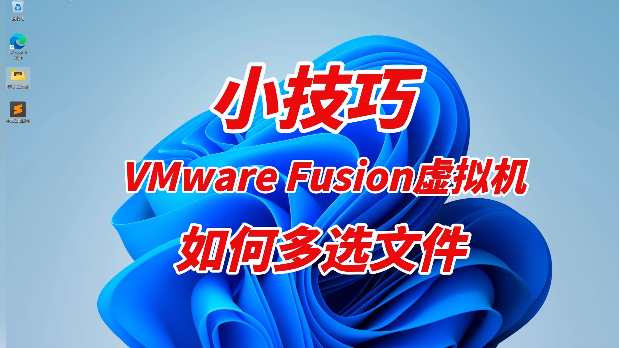 vmware虚拟机绿色版_绿色版vmware_vm虚拟机绿色版