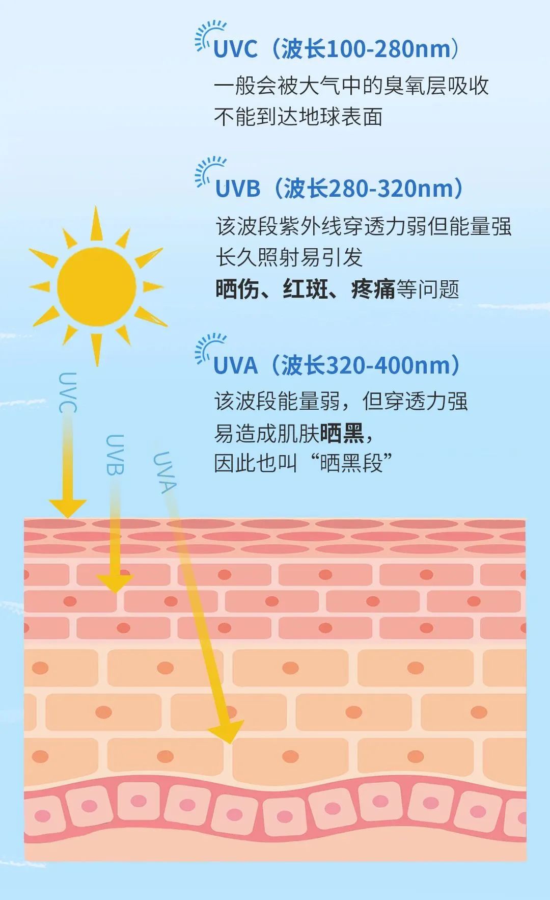 att2024考勤系统_考勤系统管理_考勤系统排名