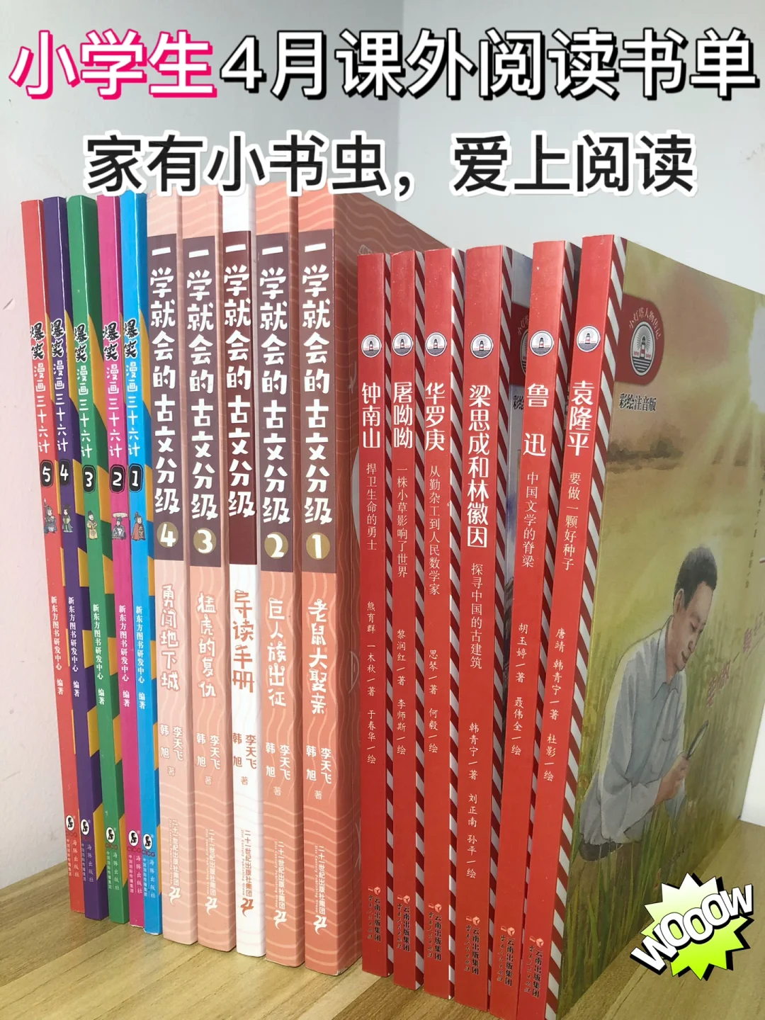 中小学图书管理系统_中小学图书管理系统5.0_中小学图书馆管理软件