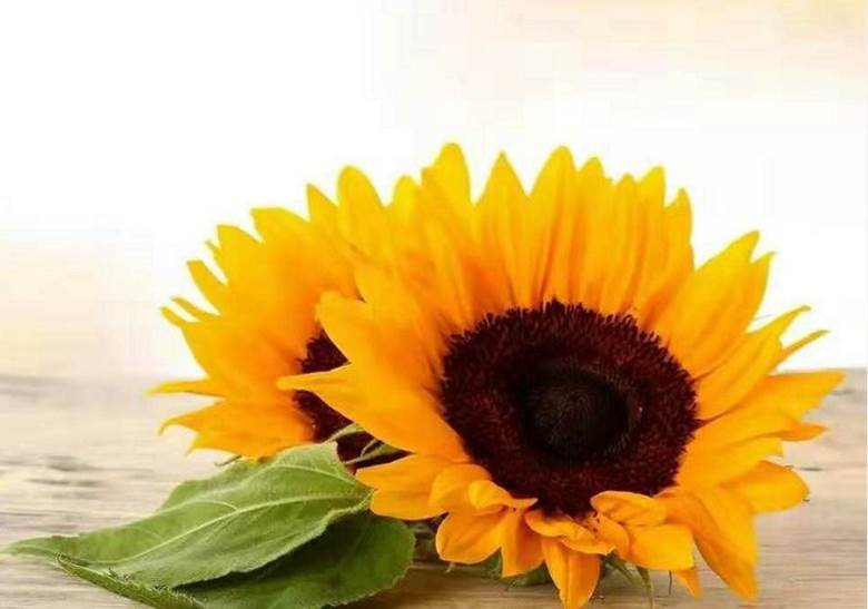 破解考勤软件_zktime考勤系统破解_如何破解考勤机考勤表