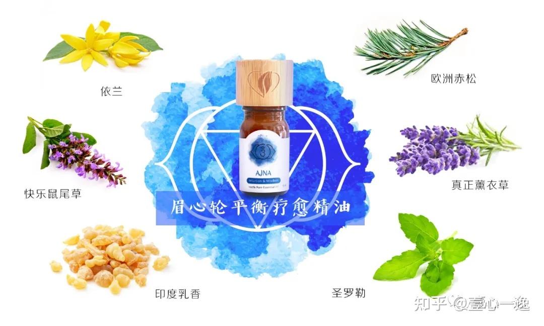 一分钟了解蜂蜜_雨田蜂蜜_蜂蜜详情