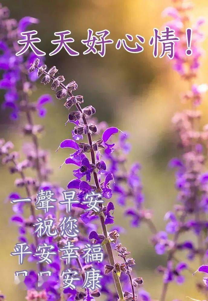 沥白洗肺含片官网_沥白洗肺含片功效_沥白洗肺含片