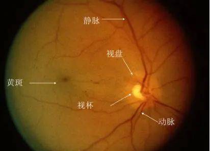 c盘和d盘都是主分区_c盘d盘分盘_c盘主分区