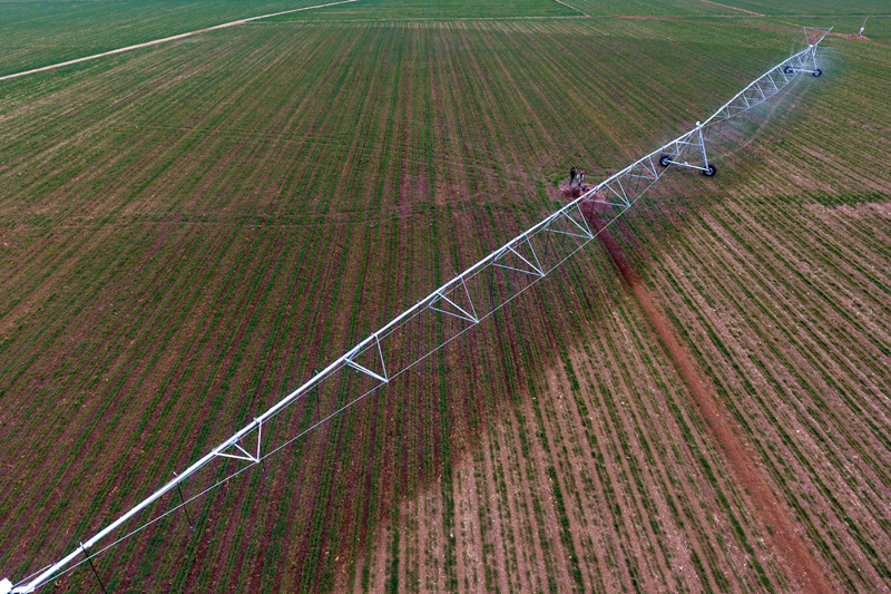 农业技术推广_3s技术农业_农业技术30年退休新政策