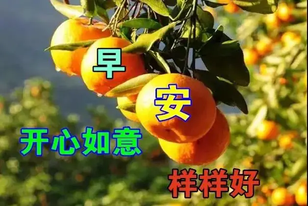 朝阳医院预约中心电话_朝阳医院电话预约_朝阳预约医院电话号码