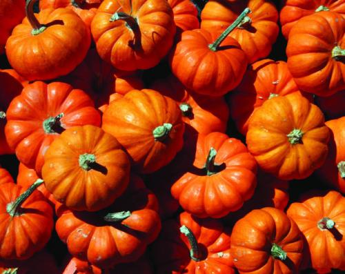 赋安1240消防广播模块_赋安广播模块接线_赋安消防广播型号