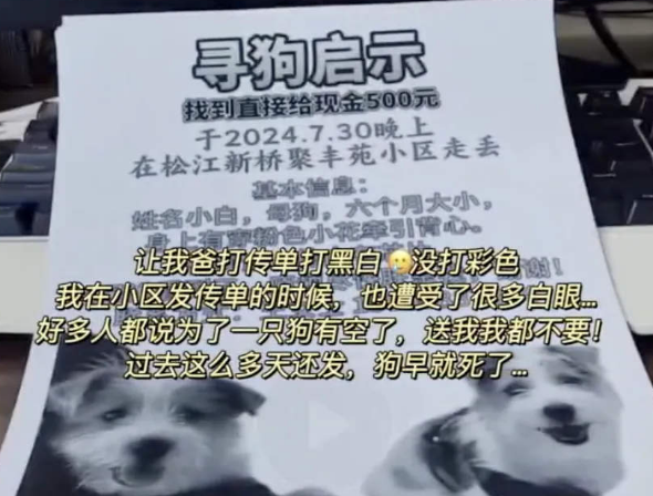 上海小狗6天走丢三次在浙江找回 女子：谢谢所有好心人