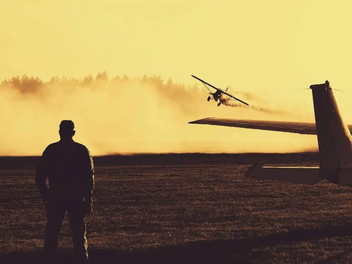 2024 华为应用市场_应用华为市场下载安装_应用华为市场ApP