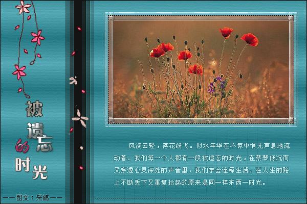 老种绿云特征视频_真正老种绿云_老种绿云特征