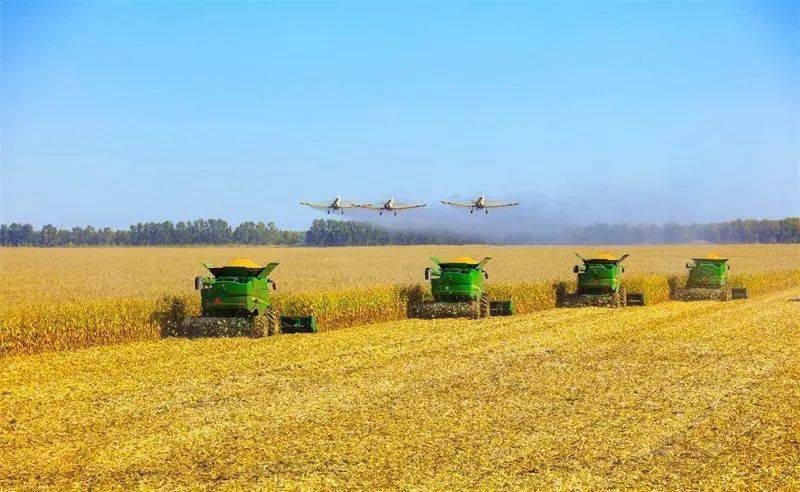 公安证局身份管理系统怎么登录_公安局身份证管理系统_公安证局身份管理系统官网