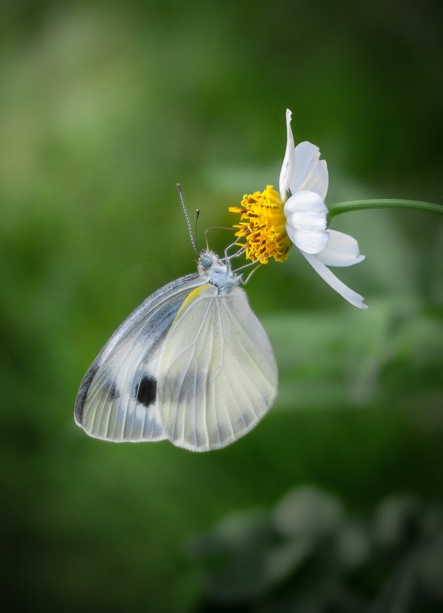 韩剧春夜_blow breeze韩剧_韩剧tv韩剧网剧